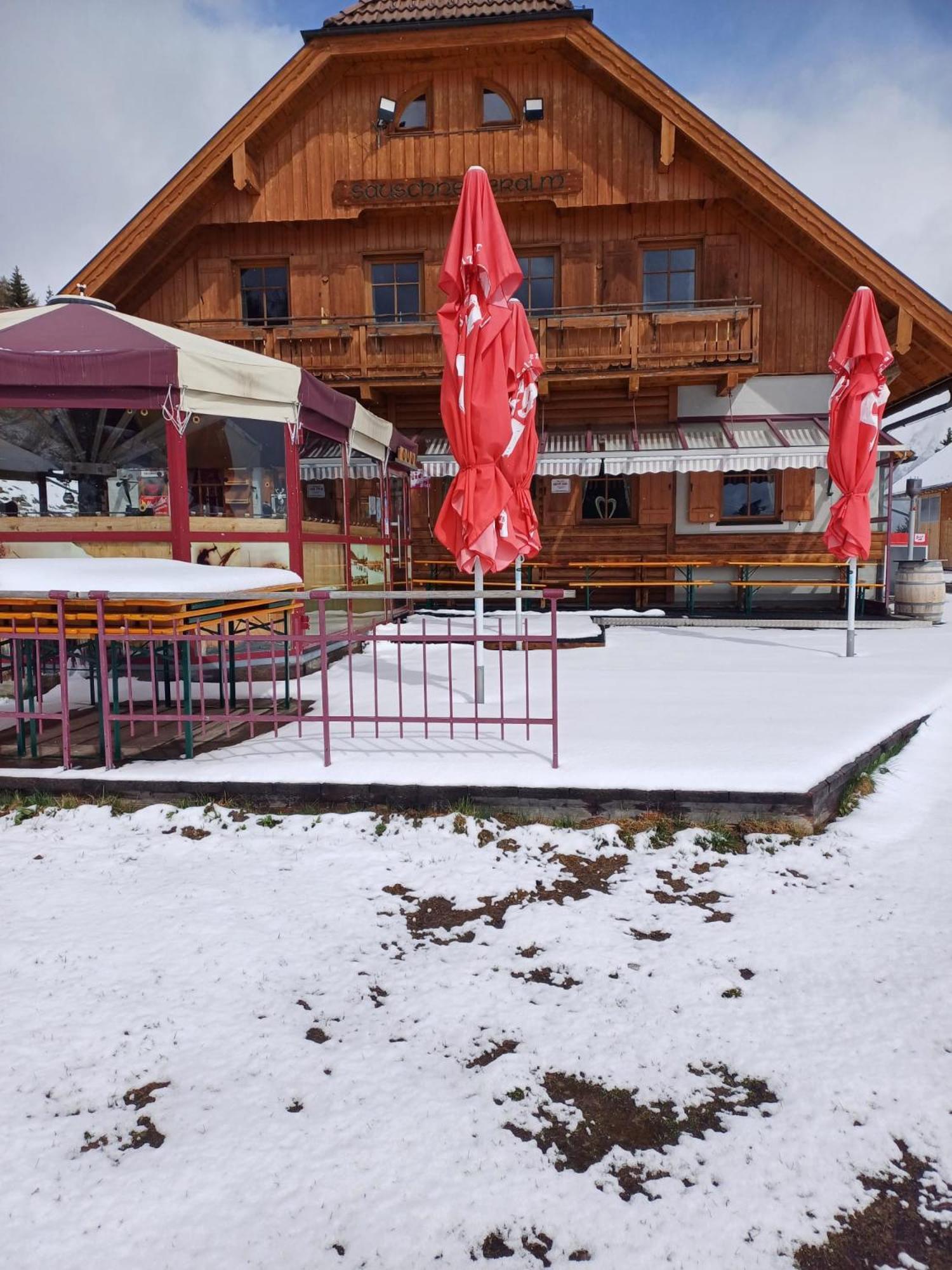 Sauschneideralm Hotel Faningberg Kültér fotó